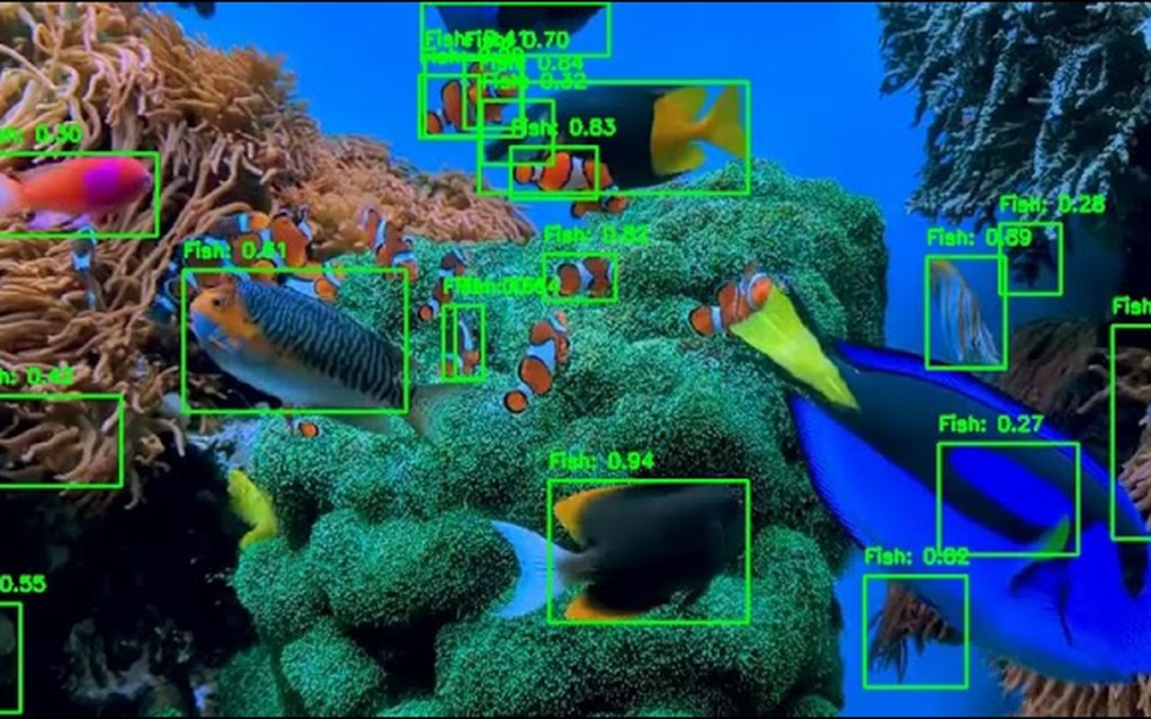 AUV for Marine Debris Detection and Biodiversity Analysis
